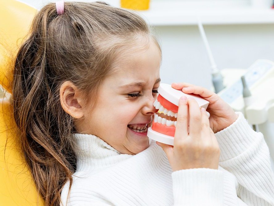 A patient holding a model of a jaw with teeth