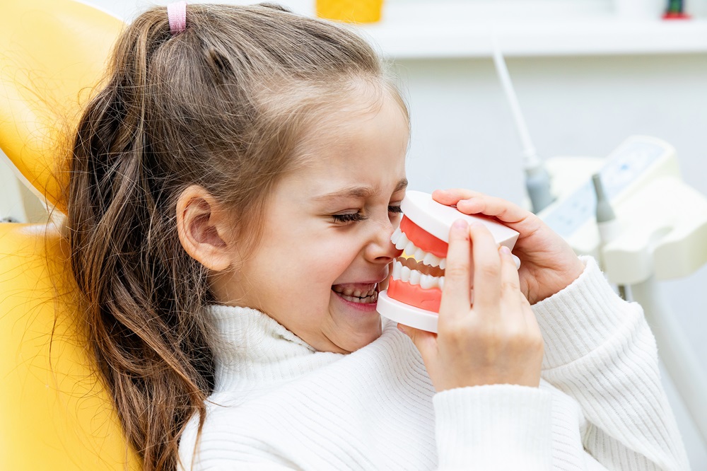 Smiling child holding dental model at pediatric dentist office - Anchor Dental & Implant Center Happy young girl in dental chair playing with teeth model during pediatric dentistry visit - Anchor Dental & Implant Center